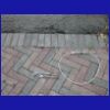 DSCN5567.JPG